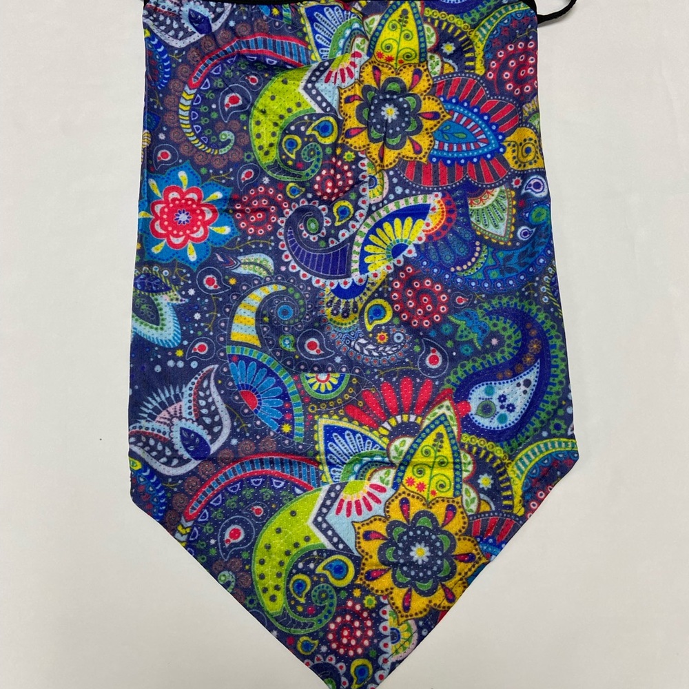 Colorful Paisley Mask